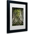thumbnail image 2 of Trademark Fine Art "Romantic Avenue" Canvas Art by Philippe Sainte-Laudy, White Matte, Black Frame, 2 of 4