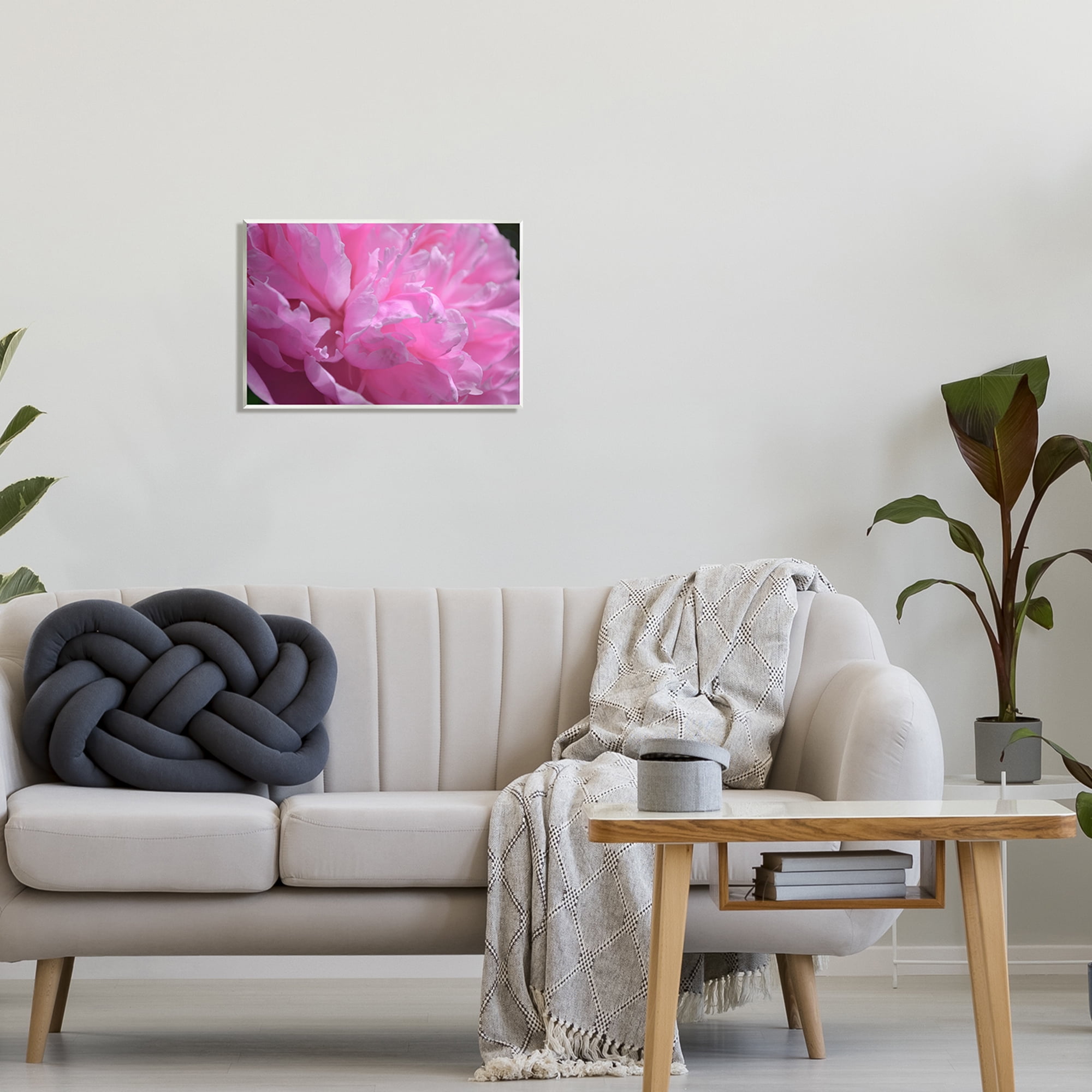 Stupell Industries Pink Carnation Photography Botanical & Floral Photography Unframed Art Print Wall Art, 19 x 13