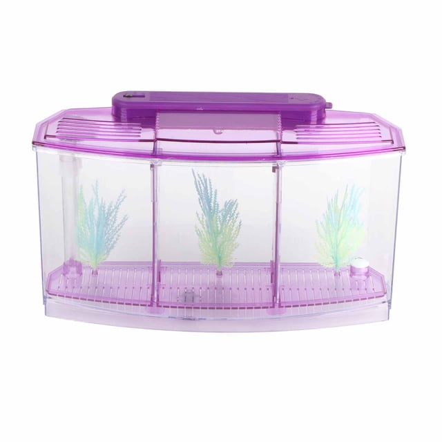 Acuario con LED acrílico, caja de aislamiento de cría de tres divisiones para peces pequeños (morado)