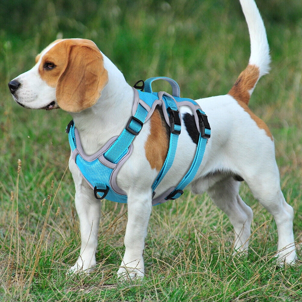 Pet Artist Reflective No Pull Dog Harness Breathable Mesh Padded Pet Vest Adjustable S/M/L
