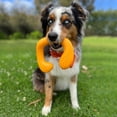 thumbnail image 4 of Nylabone C-Shuu Interactive Dog Toy, Lightweight Squishy Toy for Creative Play & Exercise, 4 of 14