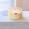 thumbnail image 3 of Springwater Reflection Scented Jar Candle (15 oz) – Elemental Aromatics Collection, 3 of 5