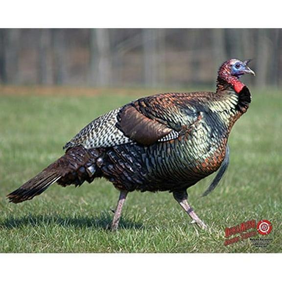 Western Recreation DM217 Duramesh Archery 25 in x 32 in Turkey Target