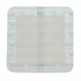 thumbnail image 1 of GAUZE, BORDERED STR 4X4" 2X2" PAD 25/BX, 1 of 1