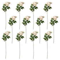 12 Pack: Toast English Rose Stem by Ashland