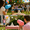 2PCS, variant on Fog Bubble Blaster Air Cannon Toys for Birthday Celebrations – Exciting Party Favor & Interactive Game Prop, Portable Bubble Maker for Create Unforgettable Memories with Family Gatherings