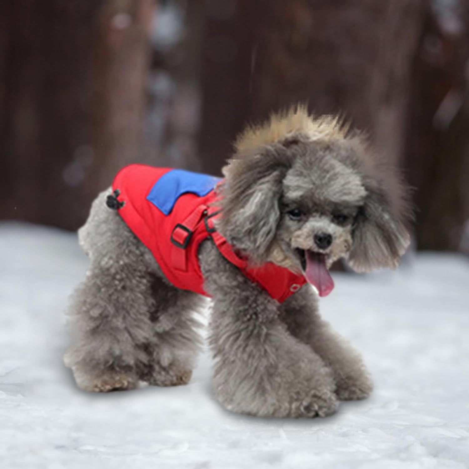 Puppy winter jacket best sale