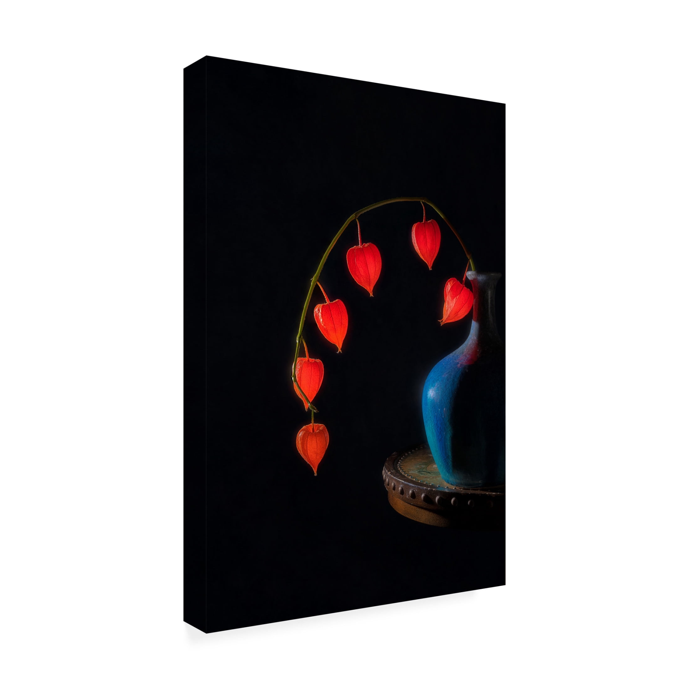 Canvas Wall Art - Lydia Jacobs 'Chinese Lantern' Wall Art for Living Room, Bedroom, or Office Décor by Trademark Fine Art - 12 x 19 Inches