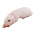 thumbnail image 2 of simhoa Pig Stuffed Animal Small Body Pillow Pig Pillow Pig Sleeping Hugging Pink 70cm, 2 of 8