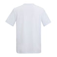 thumbnail image 2 of Regatta Mens Fingal Mountain T-Shirt, 2 of 6