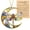 Moonwing, variant on Dragonfly Gifts for Women, Dragonflies Decor Suncatcher Effect, Dragon Fly Stained Glass Effect, Dragonfly Ornaments for Christmas Tree Decoration, for Mom (Radiant Prism)