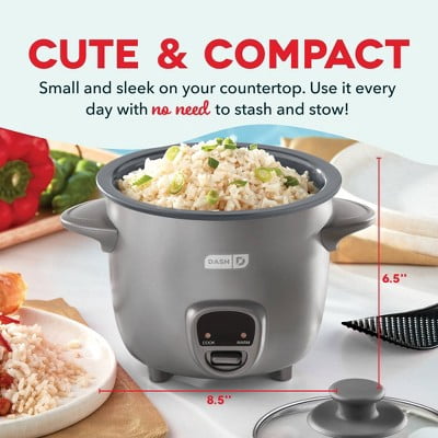 2-Cup Electric Mini Rice Cooker - Graphite: Small Rice Maker, Automatic Keep Warm, Includes Recipes & Accessories