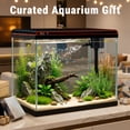 thumbnail image 7 of TARARIUM 20 Gallon Glass Fish Tank with Self-Cleaning Water Pump, 3-Color LED Light and Water Temperature Detection, Desktop Aquarium for Betta Goldfish Shrimp Kids Room, 7 of 7