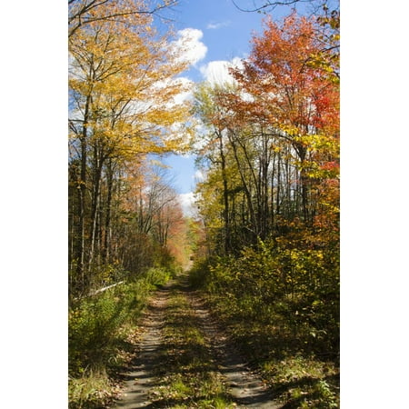 USA, Maine, Bar Harbor. Path in Fall Colors of Red and Gold Foliage Print Wall Art By Bill