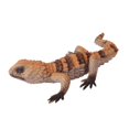 thumbnail image 1 of Mini figuras de lagarto, modelo para decoración del hogar, adornos para tartas, juguete educativo pintado a mano Tipo D, 1 of 9