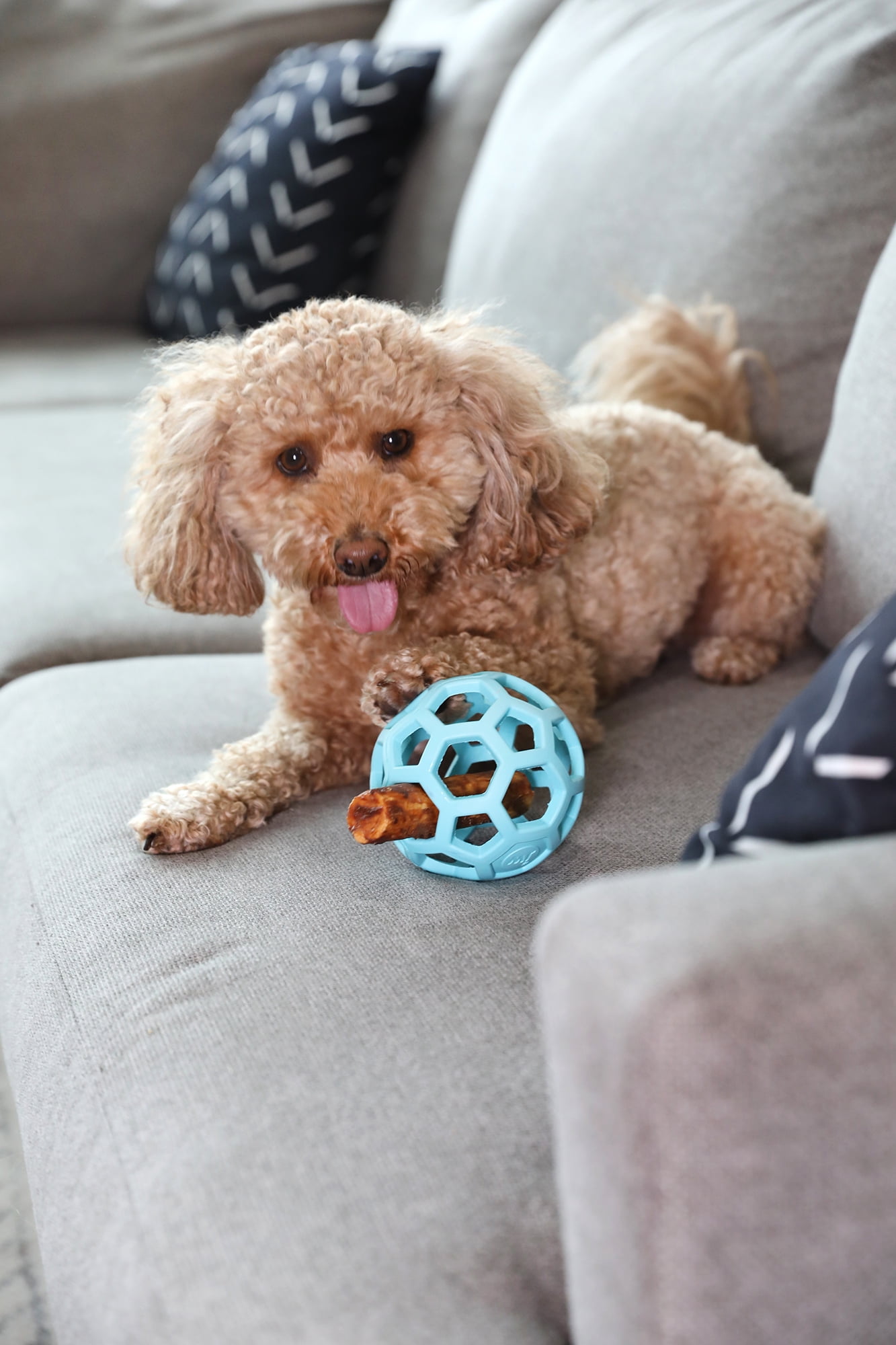 JW HOL-ee Roller™ Tug and Fetch Treat Dispenser Puzzle Ball Dog Toy, Natural Rubber, Medium 4.5" for Dogs 20 to 60 lb, Blue, Pack of 1