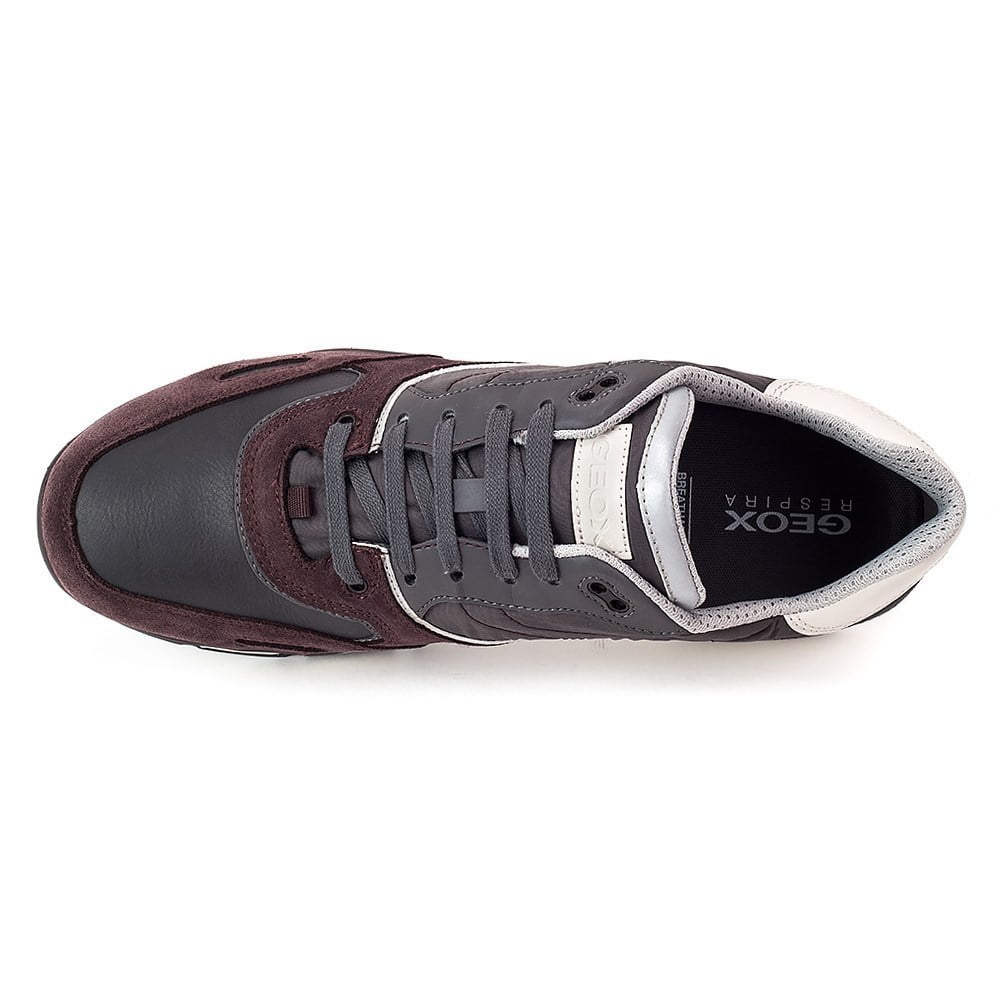 Geox sandford trainers online