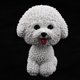 thumbnail image 2 of Resina Bobble Head Dog Adorable Resina Bobblehead Estatuilla Coche Salpicadero Decoración Asintiendo con La Cabeza Sacudiendo El Juguete para El Hogar Y El Escritorio , Bichon Magideal Resina Bobble Head Dog, 2 of 7