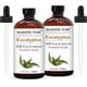 thumbnail image 1 of Aceite esencial MAJESTIC PURE Eucalyptus 120 ml (paquete de 2), 1 of 6