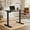 Black, variant on Spaco Black Electric Standing Desk Frame with LED Display, Heavy-Duty Adjustable Base for Home Office, Stable Structure & Simple Installation