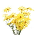thumbnail image 1 of Modern Home Decor, Simulation Of Artificial Flowers Flower Arranging Imitation Bouquet Flower, 1 of 4
