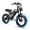 Black, variant on Electric Dirt Bike for Adults & Teens, 1500W Motor, 30MPH Max Speed, 48V 20.8Ah Removable Battery, 7-Speed, NFC Unlock, Black