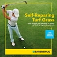 thumbnail image 3 of Barenbrug Turf Star RPR Grass Seed with Yellow Jacket Coating, 10lb, 3 of 5