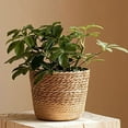 thumbnail image 2 of 4X Straw Weaving Flower Plant Pot Wicker Basket Rattan Flowerpot Storage Basket Handmade Woven Planter Basket S, 2 of 5