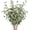 Green - 6 Pcs, variant on TETOU 6 Pcs 27" Artificial Eucalyptus Stems, Eucalyptus Leaf Greenery Stems Fake Plants Floral for Vase Filler Home Party Wedding Indoor Decoration