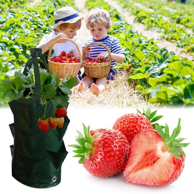 Garden Strawberry PE Hanging Grow Planting Bag Plant Root Pot Pouch Container