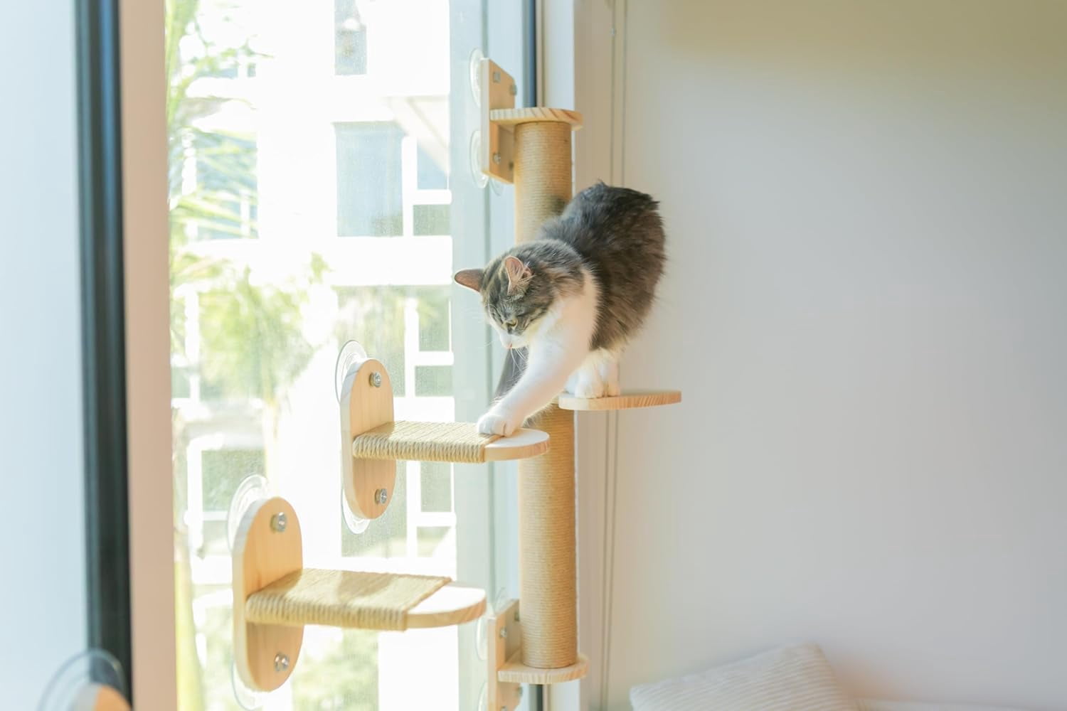 4-in-1 Window & Wall Mount  Wall Shelves – Hammock, Scratching Post & Perch |   Fits  to 40 lbs |   Space-Saving Pet Furniture for Windows, Glass & Drywall |   Modern Wood  Shelf Set