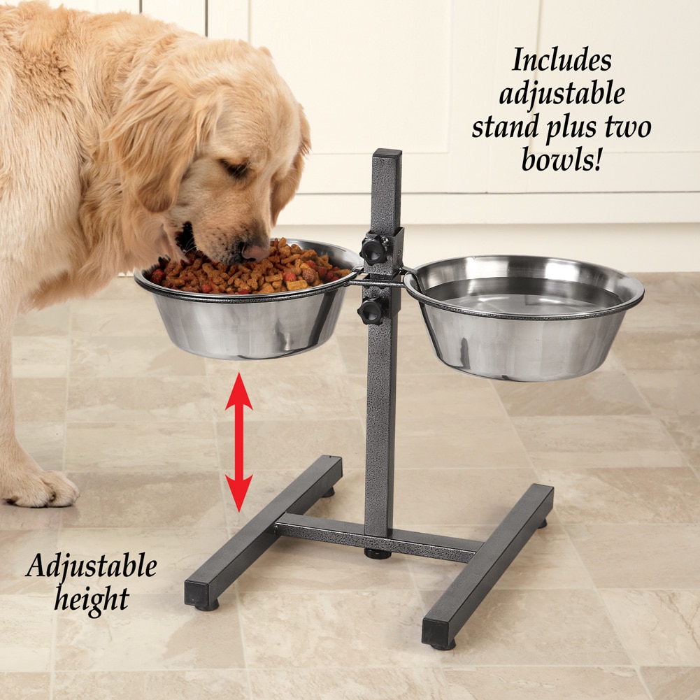 Adjustable Height Dog Bowls Walmart Com