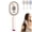 Pink, variant on NEW 5 in 1 Air Cushion Brush – Electric Spray Air Cushion Massage Comb, Rechargeable Steam Hair Brush, Anti-Frizz & Anti-Static