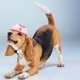thumbnail image 4 of unbranded Sombrero Para Perro Y En Color Rosa Resistente Y Con Cuerda Ajustable Para Uso Diario, 4 of 8