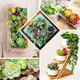 thumbnail image 5 of Efavormart 3 Pack | 6" Artificial PVC Wavy Kalanchoe Decorative Succulent Plants, 5 of 10