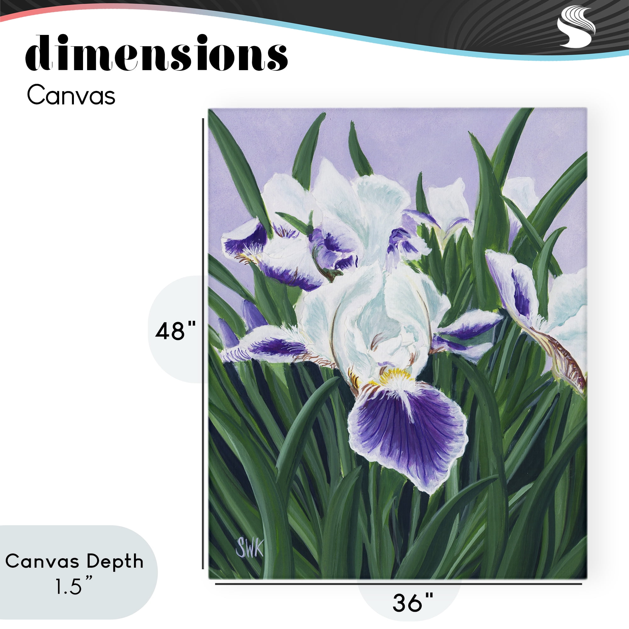 Stupell Industries Purple & White Irises Canvas Wall Art, design by Sarah Waldron Kimball