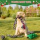 thumbnail image 5 of Juego de juguetes con cuerda para perros Aitmexcn, paquete de 7, algodón interactivo, 5 of 6