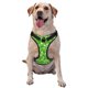 thumbnail image 1 of Balery Green Cucumber Arnés para Perros Grandes Antitirones, Arnés con Correa para Gato, Arnés Tipo Chaleco para Perros Pequeños-Small, 1 of 6