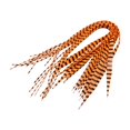 thumbnail image 3 of LOVIVER 20 Pieces Fish Ribbon Sea Fishing Lure Set for Trout Striped Bass Grass Carp Orange Black, 3 of 8