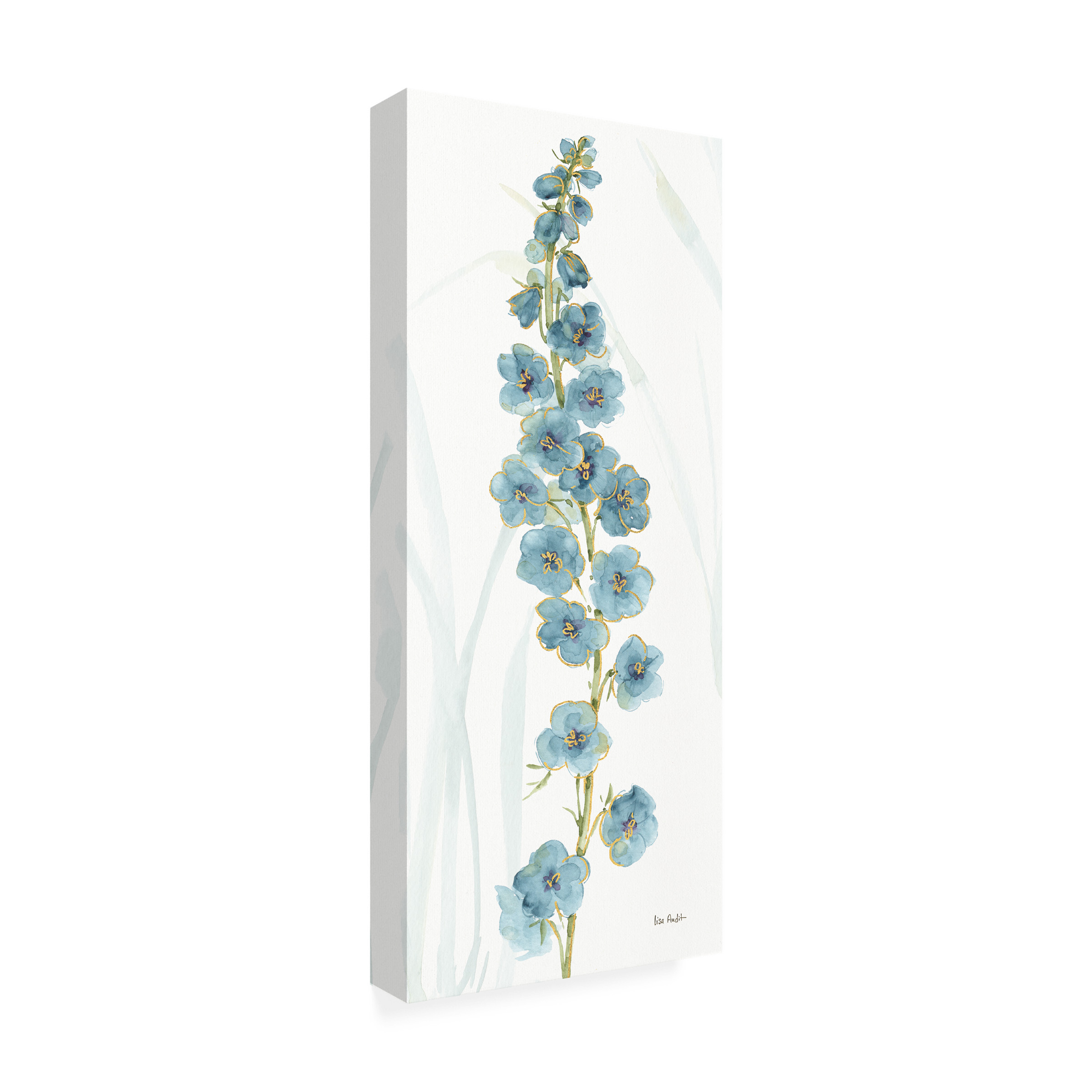 Trademark Fine Art "Rainbow Seeds Flowers VI" Canvas Art by Lisa Audit