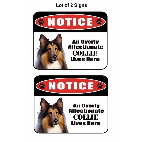 2 Count Notice an Overly Affectionate Collie Lives Here 9 inch x 11.5 inch Laminated Dog Sign