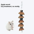 thumbnail image 7 of Hamster Hanging Chew Toys, Natural Semi-circular Wood Skewers Shape Bite Resistant Swing Molar Toy for Hamsters Bunny Rabbits Parrots Guinea Pigs Chinchilla, 7 of 7
