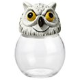 thumbnail image 2 of Gothic Glass Witchy Frog Storage Jar, Kitchen Spice Container, Halloween Decor, Style C., 2 of 9