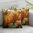 thumbnail image 3 of BANET Thanksgiving Day Fall Pillow Covers Set of 2 Burnt Orange Pumpkin Decorative Outdoor Throw Pillows for Sofa Bed Couch Home Decor 22x22in, 3 of 7