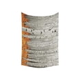 thumbnail image 2 of CADecor Brith Tree Wall Tapestry Wall Hanging Wall Art Home Decor 40x60 inches, 2 of 2