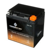 Chrome Battery YTX30L-BS (30L-BS 12 Volt,30 Ah, 385 CCA) Motorcycle Battery for Moto Guzzi T3, T4, T5