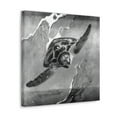 thumbnail image 5 of "Sea Turtle Reflections" - Canvas, 5 of 25