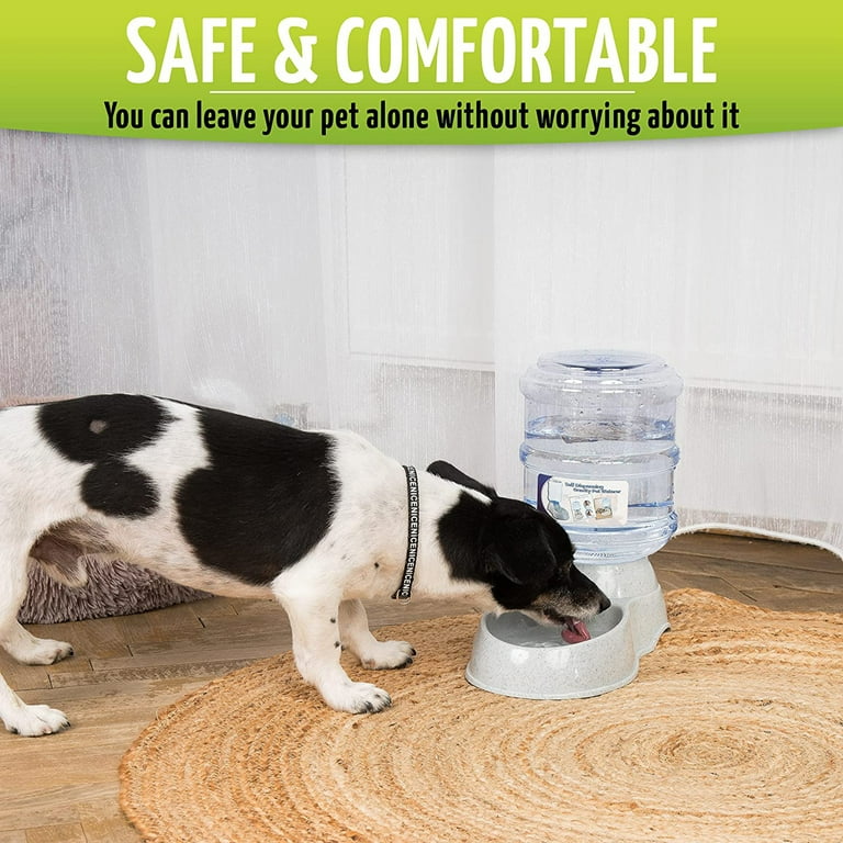Automatic dog cheap waterer walmart