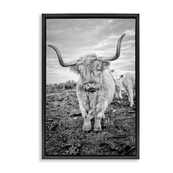 Stupell Industries Longhorn Calf Family Animals & Insects Photography Black Floater Framed Canvas Art Print Wall Art, 17 x 25