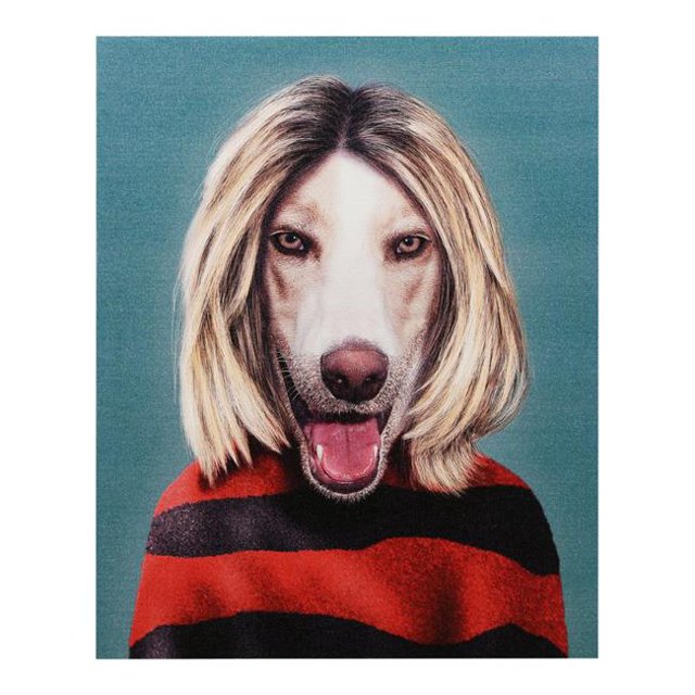Empire Art Direct GIC-PR037-2016 Haute Résolution Animaux de Compagnie Giclée de Roche Imprimé sur Toile de Coton sur Civière en Bois Massif - Grunge